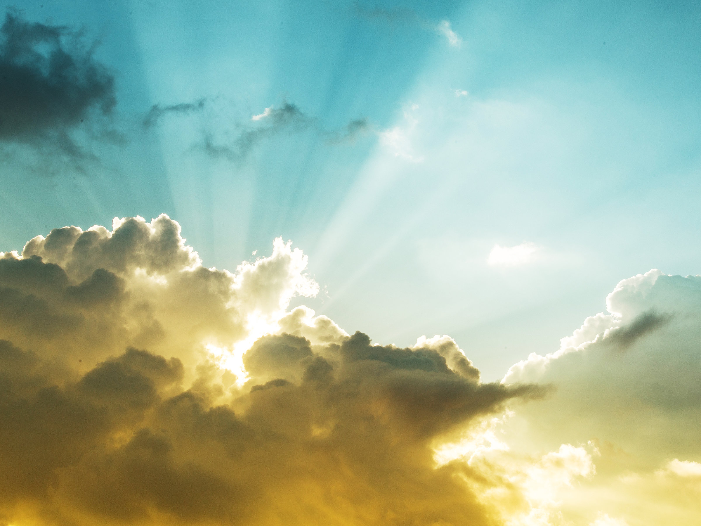Sun Burst