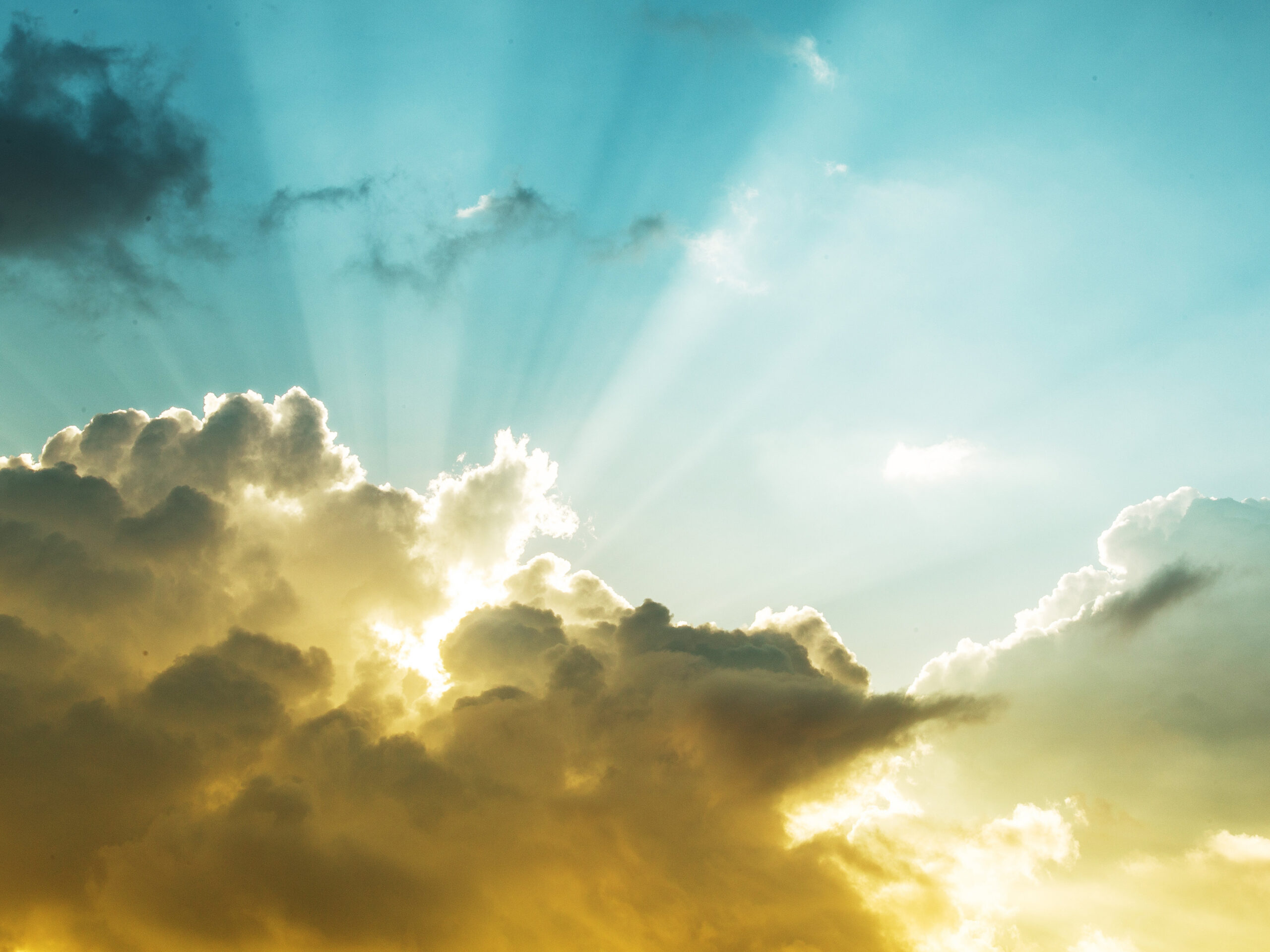Sun Burst